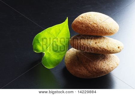 Zen Still Life