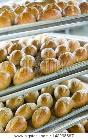 Fresh baked bread on racks and pans in a commercial kitchen