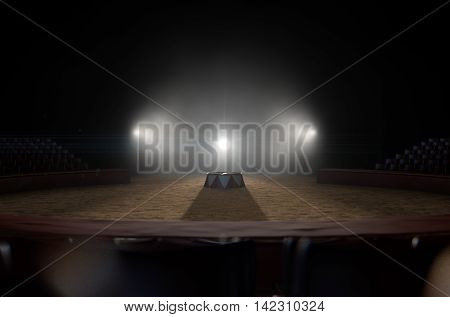 Circus Ring And Podium