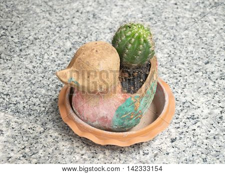 Cactus in duck animal pot on marble floor background.