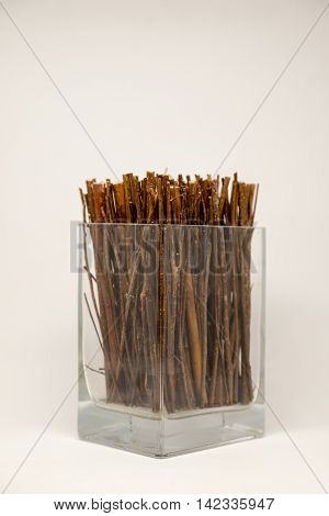 Dried twigs fre decoration in the glass bottle.