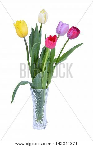 Colorful tulips in vase isolated on white