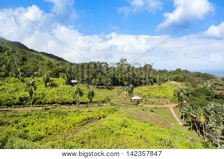 Landscape of Chamarel valley in Mauritius island