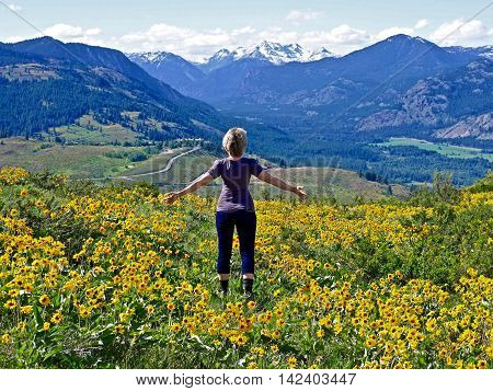 Slim Blond Woman Standing amang Yellow Flower Looking at Snow Capped Mountains. Patterson Mountain near Winthrop WA USA. North Cascades National Park.