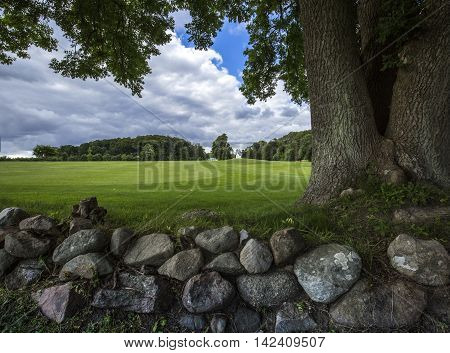 Underneath a large tree is a stone wall and view to a lush green field and blue sky