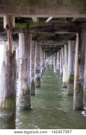Infinity view under the pier of weathered pilings