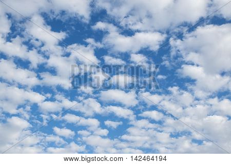 many small fluffy clouds on the blue sky on a sunny summer day altocumulus or cirrocumulus formation background texture