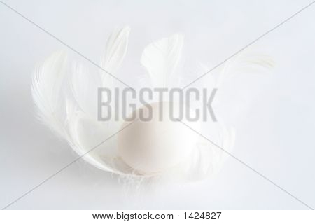 Oeuf