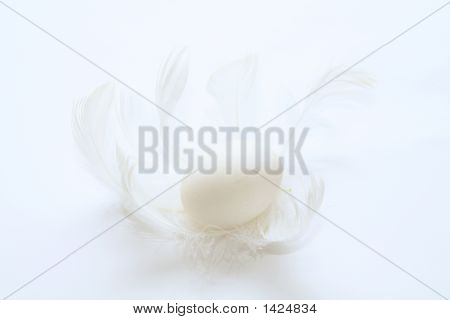 Oeuf
