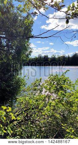 Hiking Along The Trail - Campbellford Ontario