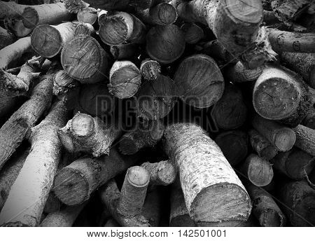 Timber prepared for building. Timber Texture.(Black and White)