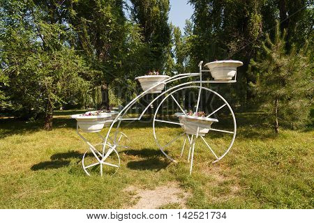 Bed Of Flowers Bicycle