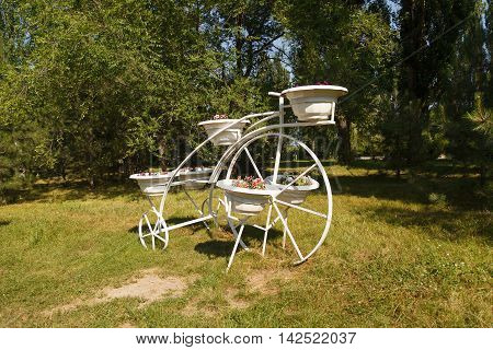 Bed Of Flowers Bicycle