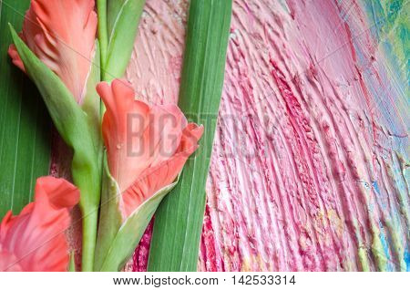 Beautiful stylish branch of red gladioli flowers with buds on wooden rustic background.