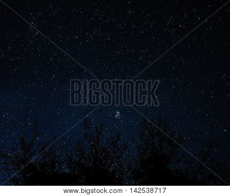 The stars in the night sky. Real photo.