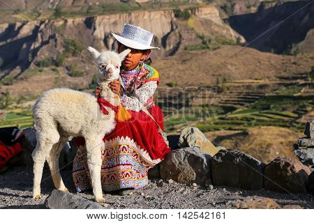 Colca Canyon, Peru-january 16: Unidentified Girl In Traditional Dress Sits With Llama On January 16,