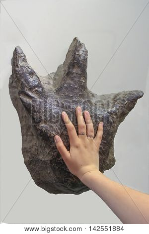 A girls hand is placed on top of a cast of a dinosaurus foot print