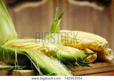 Wery swetty corn. The sweety food. Summer.