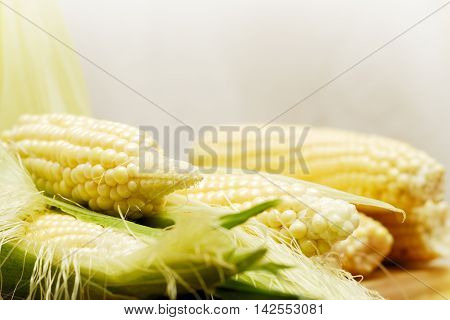 Wery swetty corn. The sweety food. Summer.