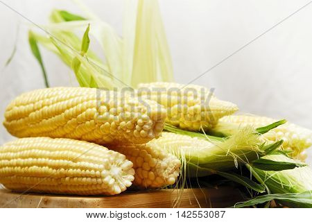 Wery swetty corn. The sweety food. Summer.