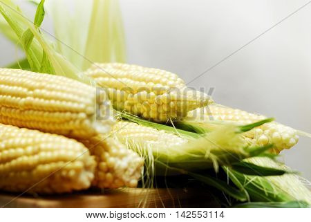 Wery swetty corn. The sweety food. Summer.