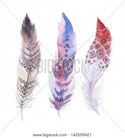 Hand drawn watercolor paintings vibrant feather set. Boho style wings. illustration isolated on white. Bird fly design for T-shirt invitation wedding card.Rustic Bright colors.