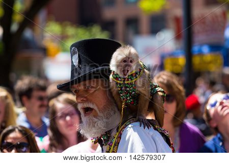 York PA - May 8 2016: A bearded man with a monkey entertained people at the City of York Annual Mother's Day Street Fair.