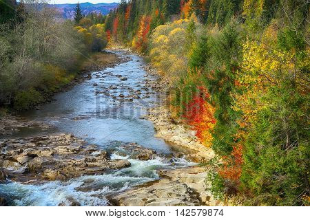 Autumn creek woods with colorfull trees foliage and rocks in forest mountain