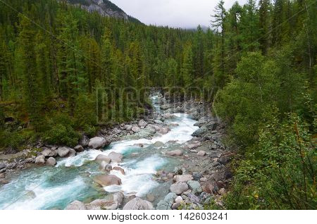 Rough Mountain River Shumak.