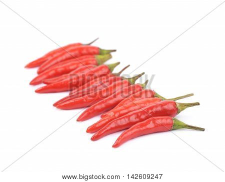 Lined up pile of red italian peppers isolated over the white background