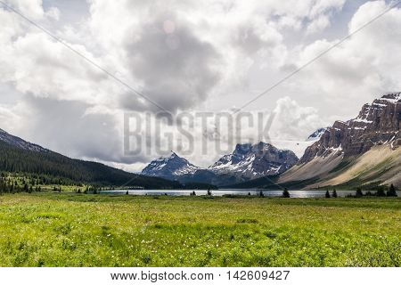 Alpine Meadow in the Rocky Mountains Banff National Park Alberta Canada
