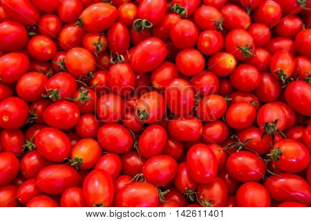 Group of fresh tomatoes, close up tomato