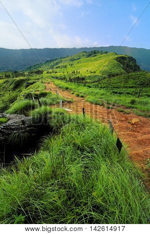 Beautiful PhuChiFa landscape view point as background