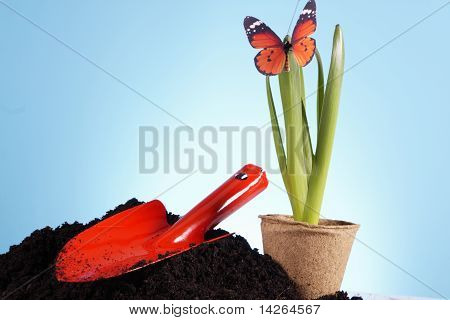 Concept de jardinage