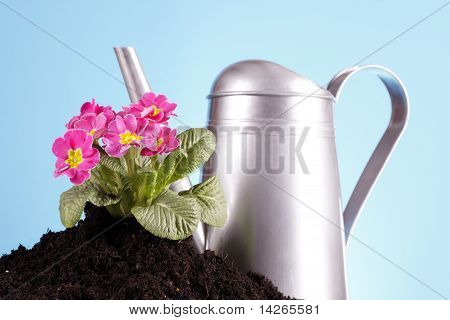 Concept de jardinage