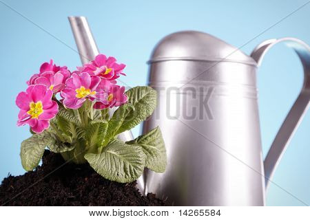 Concept de jardinage