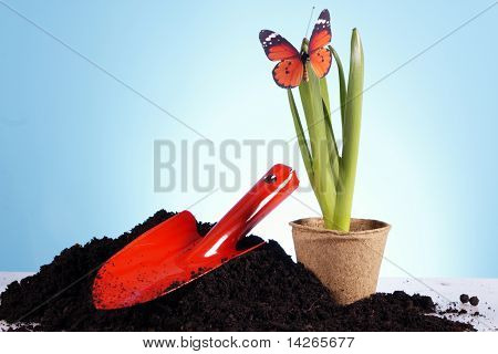 Concept de jardinage