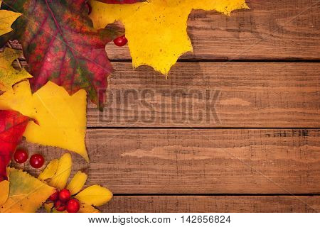 Autumn leaves over wooden background with copy space