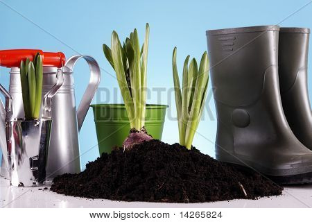 Concept de jardinage