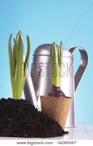 Concept de jardinage