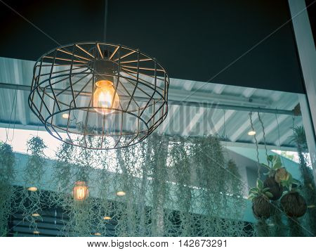 Edison's light bulb and lamp in modern style. Warm tone light bulb lamp. Lamps in coffee shop.