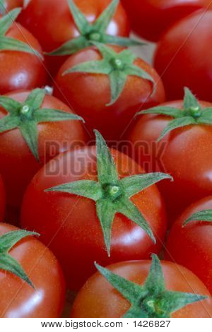 Tomaten verticaal