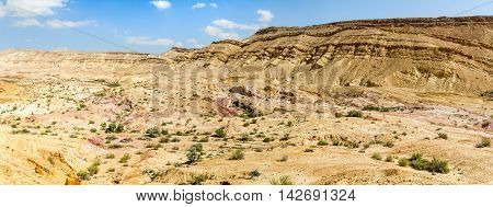 Landscape Makhtesh Gadol or Large Crater nature reserve in Negev desert in the early spring Israel