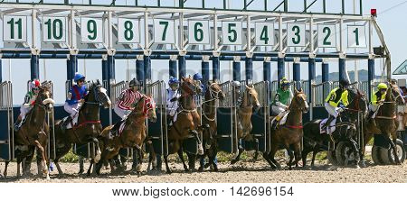 PYATIGORSK RUSSIA - JULE 17: Start gates for horse races for the prize of Letni in Pyatigorsk, Caucasus, Russia on Jule 172016.