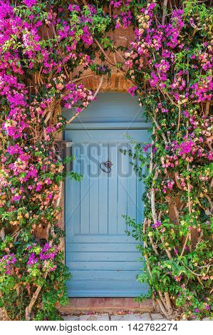 bougainvilla clad door in the picturesque Provencal village Grimaud France
