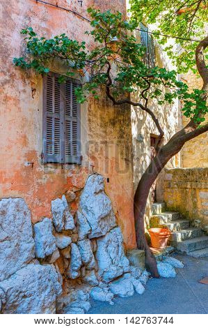 picturesque scene with a tree at an old house in the mountain village Gourdon Provence France that is listed under the most beautiful villages of France