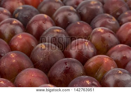 Plum harvest texture for background. Selective focus.