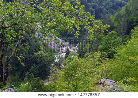 The Mountain River