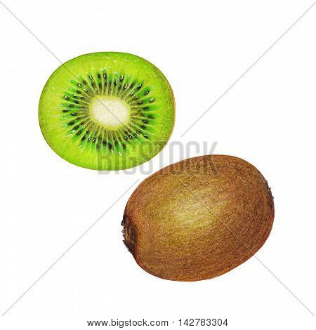 Isolated illustration of kiwi fruit with fresh slice