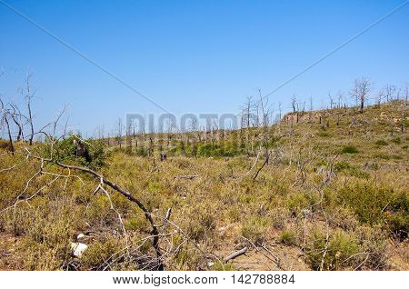 The bald hill. Greece Rhodes. In the centr island.